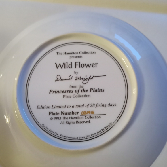 Hamilton Collection plate - Picture 2 of 2